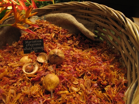 Whole nutmeg (Mysterica fragrans) pods in a basketの写真素材
