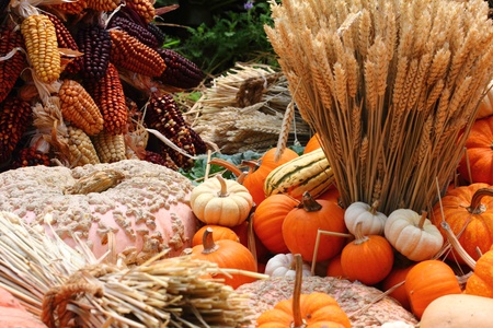 Variety of pumpkins, corn and bales of wheatの写真素材