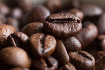 Close up image of several unground coffee beansの写真素材