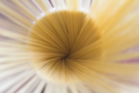 Uncooked angel hair pasta in a cup seen from the topの写真素材