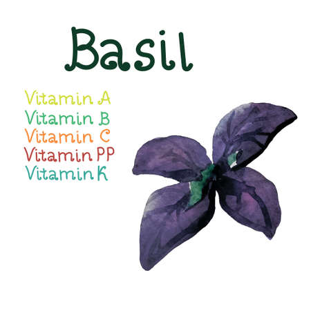 watercolor hand painted art of herbal and seasoningの写真素材