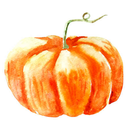 water color hand painted vegetable. pumpkin on white backgroundの写真素材
