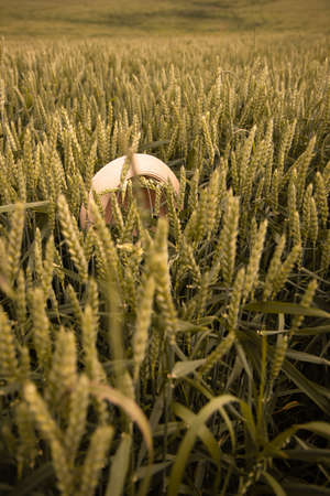 bright woman's hat in a field with ears of rye