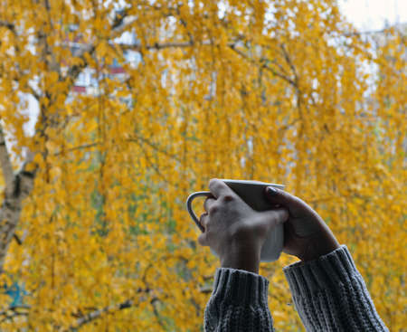 cup in hands on a background of an autumn treeの写真素材
