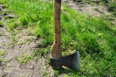 agricultural tools - shovel, pitchfork, ax, sawの写真素材