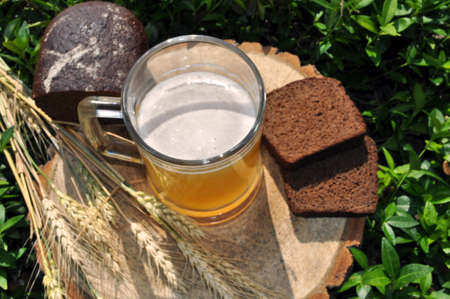 a glass of foamy bright clear beer with spikelets and bread on the background of a treeの写真素材