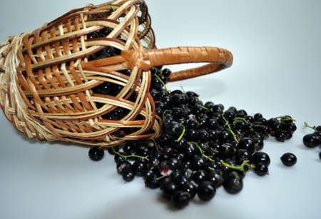 woven wooden basket with a black large berry - currantの写真素材