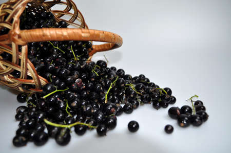 woven wooden basket with a black large berry - currantの写真素材