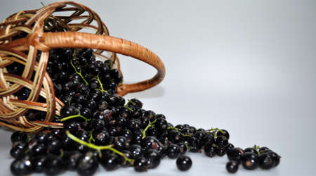 woven wooden basket with a black large berry - currant
