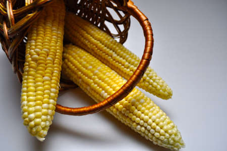 vegetative, vegetarian food - juicy yellow corn, corn cobs, grains
