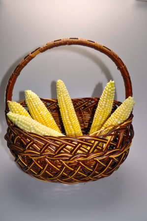 vegetative, vegetarian food - juicy yellow corn, corn cobs, grainsの写真素材