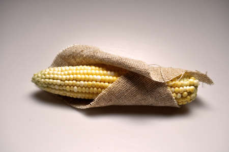 vegetative, vegetarian food - juicy yellow corn, corn cobs, grainsの写真素材