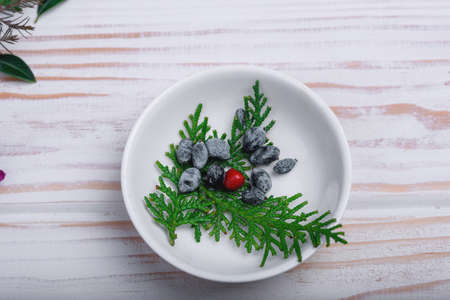A branch of a juniper in a white plate on a tableの写真素材