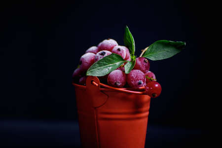 Frozen croissant with a sprig of mint in a red bucket on the tableの写真素材