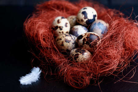 Quail eggs. Black wooden background. Top view. Free space