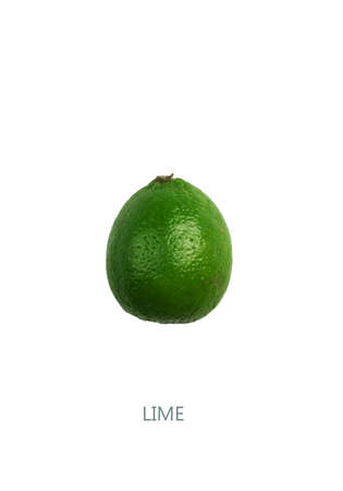 Avakado on a white background.の写真素材