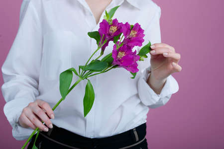 A bouquet of beautiful flowers in the hands of a girl on a pink backgroundの写真素材