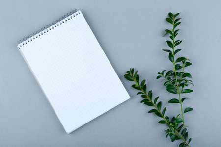Notepad with white sheets, with leaves on a gray background
