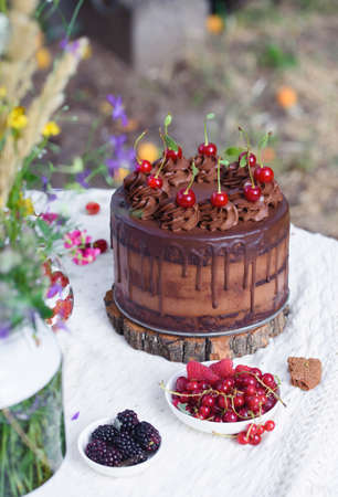 Delicious chocolate cake, red velvet in a glass, wild flowers, berries. Summer picnic outside the city.の写真素材