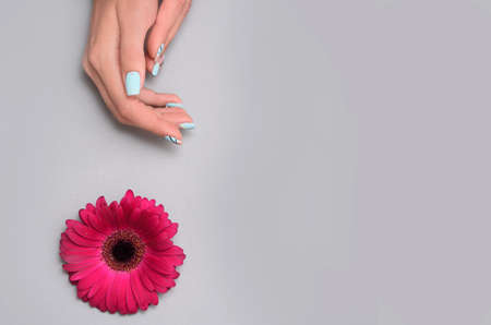 Woman hand with trendy nail art manicure holding gerberas flower on grey backgroundの写真素材
