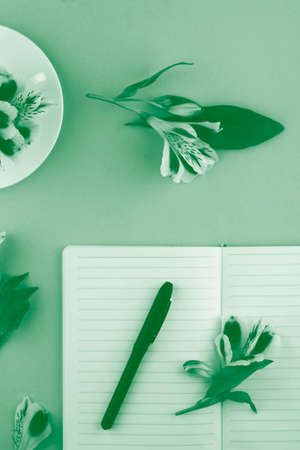 Notebook for notes, pen, flowers in tinted mint color. Trend color 2020の写真素材