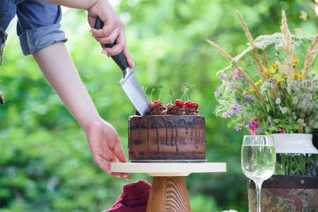 Delicious chocolate cake decorated with cherries with a glass of white wine, berries and wild flowers. Picnic in the countryの写真素材