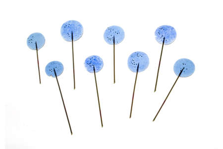 Colourful lollipop isolated on the white background. Top view
