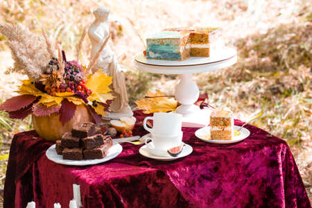 Beautiful autumn picnic in nature in the park.