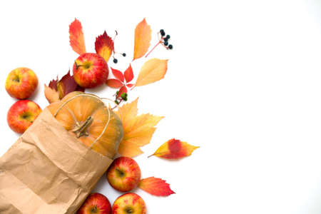 Beautiful autumn red-yellow leaves with craft bag isolated on a white background. Place for copyの写真素材