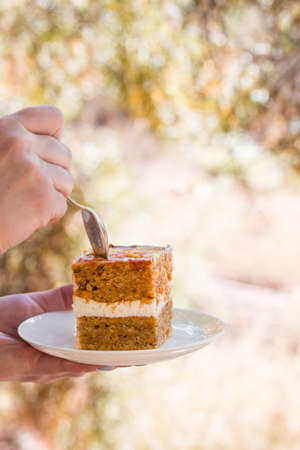 Beautiful autumn picnic in nature in the park. Delicious branded cake, figs, red wine, fragrant tea, nuts.の写真素材