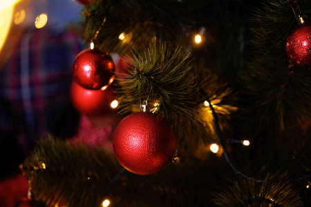 Beautiful festive Christmas decor with lights, Christmas trees, bokeh, toys. Holiday Contentの写真素材