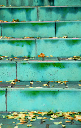The steps in the country house are light green and yellow leaves. Autumn in the yard.