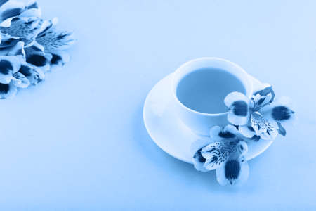 Fragrant tea in a white cup with beautiful flowers on a blue backgroundの写真素材