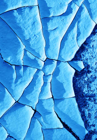 Wood texture at dawn. Wood doors. Background with blue tintedの写真素材