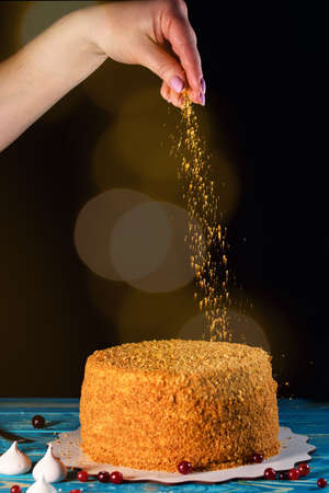 Delicious cake with fresh berries, powder and drops of honey. Pastry, desserts, birthday cake.