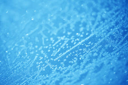Bright background with frozen snowflakes in the early morning