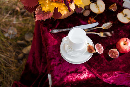 Beautiful autumn picnic in nature in the park. Delicious branded cake, figs, red wine, fragrant tea, nuts.の写真素材