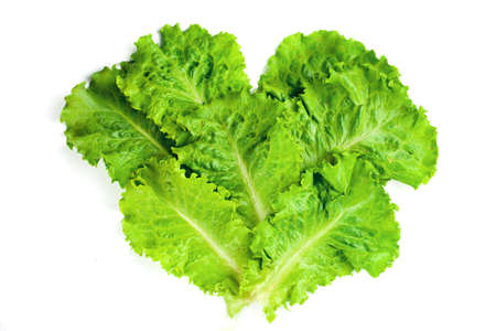 Fresh lettuce leaves are isolated on a white background. Proper nutrition, diet.の写真素材