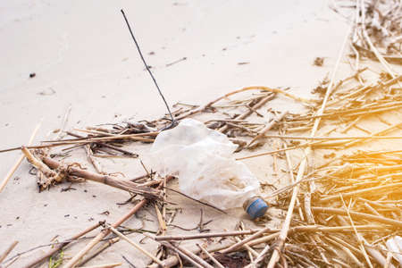 A plastic bottle is like garbage on the shore of a lake. The contagious nature.Zero wasteの写真素材