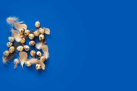 Quail eggs with beautiful feathers on a black background. A place for text.