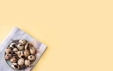 Overquail eggs with young sprigs of green plants on a light background. Holiday content, a place for textの写真素材