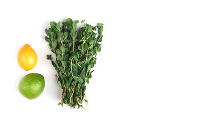 The composition of fruit on a white background. Orange, lemon, kiwi, lime, mango, insulated on a white background.の写真素材