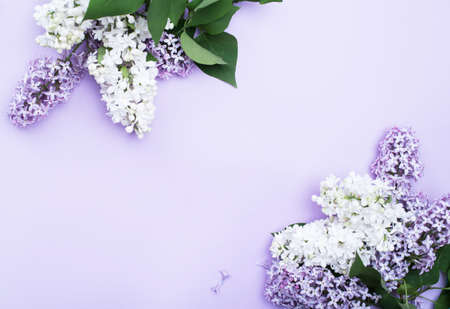 Beautiful bouquets of lilacs on a light background with a place for text. Holiday content