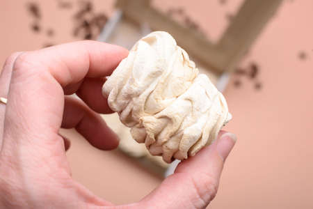 Delicious marshmallow with the taste of coffee, on a light background, with a place for text. Flat layの写真素材