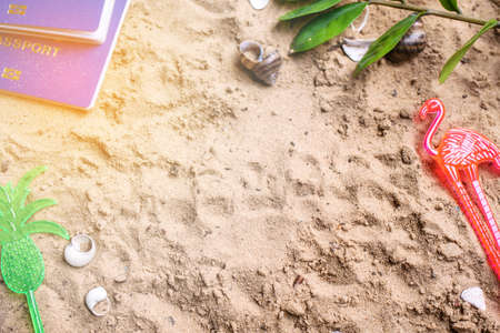 Beach sand, shells, passport, plants. Summer holidays at sea Place for text