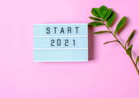 Light boxing with the words start 2021, on a pink background with a green plant. Trend conceptの写真素材