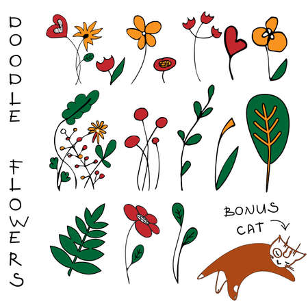 Doodle flowers illustrations set. Separate doodle elements of plants, leaves and flowers plus bonus cat illustrationのイラスト素材