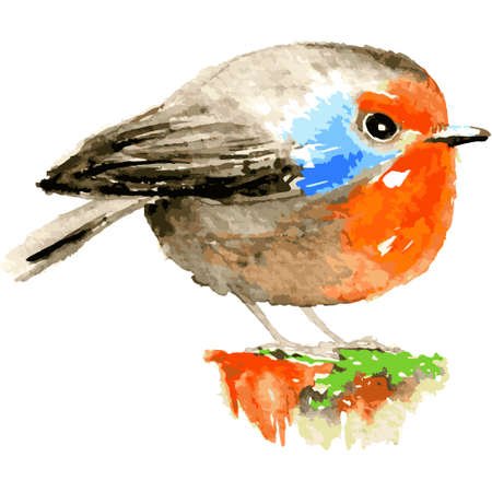 Orange bird illustration in hand drawn style. Colorful and funny robin bird painting vector imitating of watercolorのイラスト素材