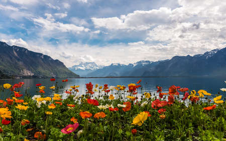 Beautiful view on the Alps Mountains and Lake Lemanの写真素材