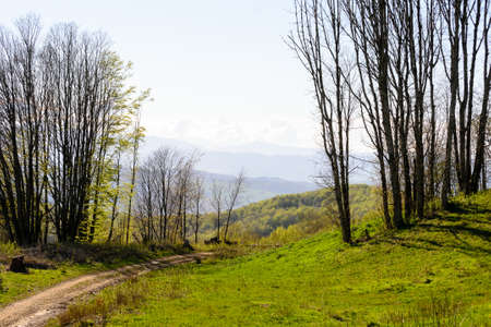 The Gods way hiking trail in Italy in the Apennines mountains between Florence and Bolognaの写真素材